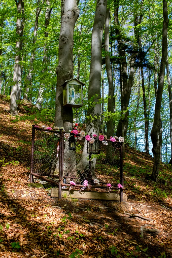 Soška Panny Márie na Tančekovom, Kňazová Lehota