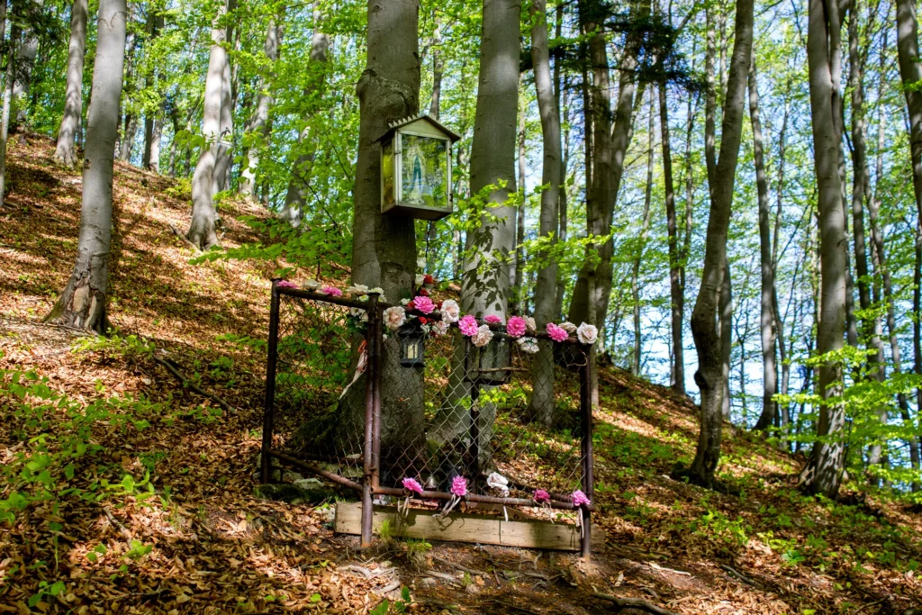 Soška Panny Márie na Tančekovom, Kňazová Lehota