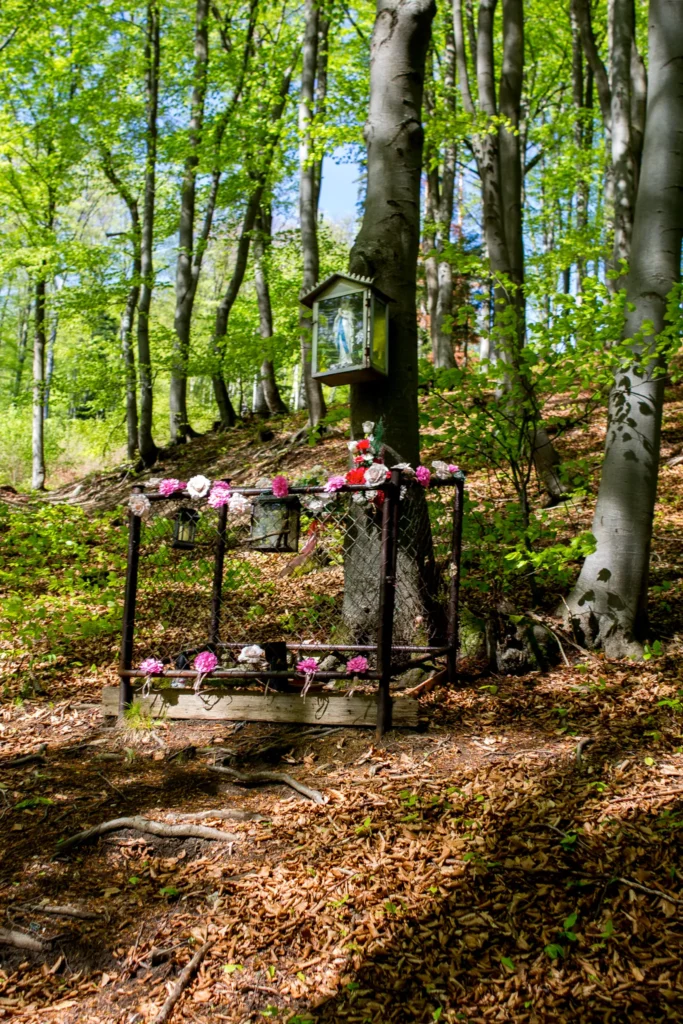 Soška Panny Márie na Tančekovom, Kňazová Lehota