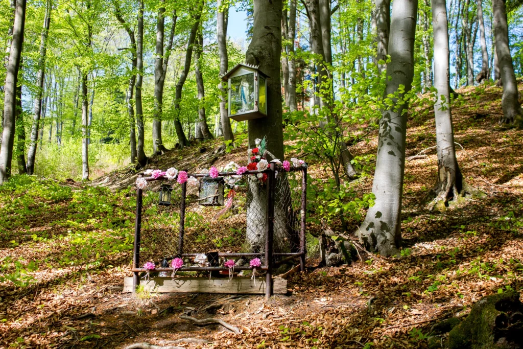 Soška Panny Márie na Tančekovom, Kňazová Lehota