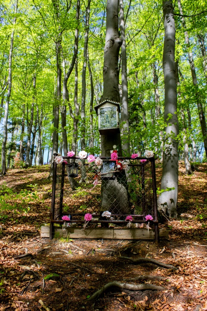 Soška Panny Márie na Tančekovom, Kňazová Lehota