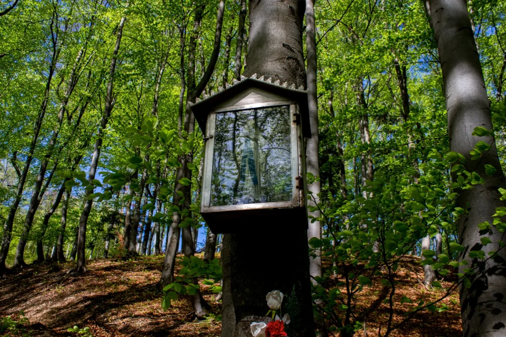 Soška Panny Márie na Tančekovom, Kňazová Lehota